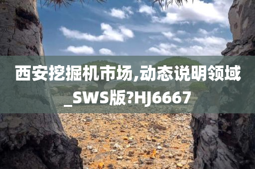 西安挖掘机市场,动态说明领域_SWS版?HJ6667