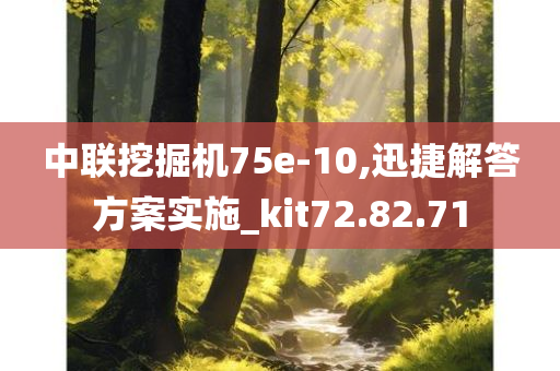 中联挖掘机75e-10,迅捷解答方案实施_kit72.82.71