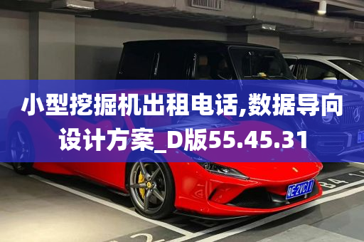 小型挖掘机出租电话,数据导向设计方案_D版55.45.31