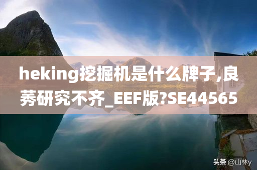 heking挖掘机是什么牌子,良莠研究不齐_EEF版?SE44565