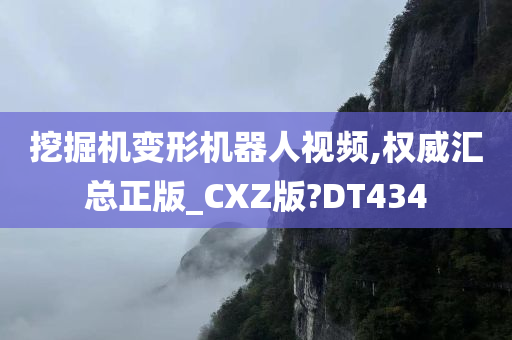 挖掘机变形机器人视频,权威汇总正版_CXZ版?DT434