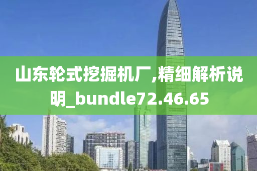 山东轮式挖掘机厂,精细解析说明_bundle72.46.65