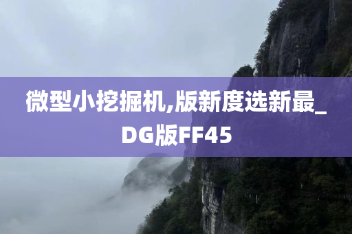 微型小挖掘机,版新度选新最_DG版FF45