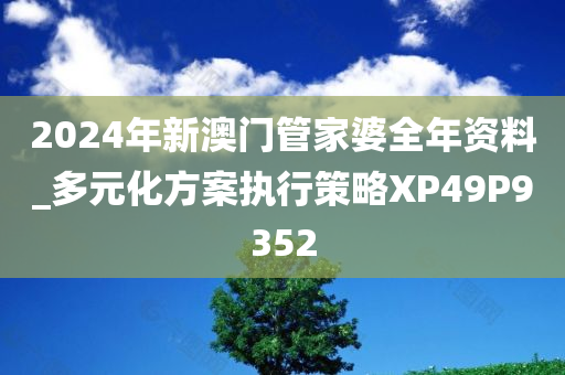 2024年新澳门管家婆全年资料_多元化方案执行策略XP49P9352