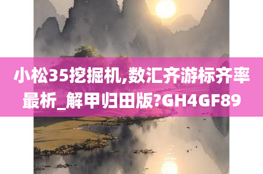 小松35挖掘机,数汇齐游标齐率最析_解甲归田版?GH4GF89