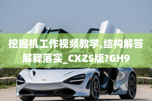 挖掘机工作视频教学,结构解答解释落实_CXZS版?GH9