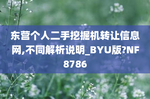 东营个人二手挖掘机转让信息网,不同解析说明_BYU版?NF8786