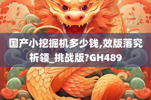 国产小挖掘机多少钱,效版落究析领_挑战版?GH489