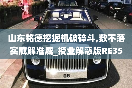 山东铭德挖掘机破碎斗,数不落实威解准威_授业解惑版RE35