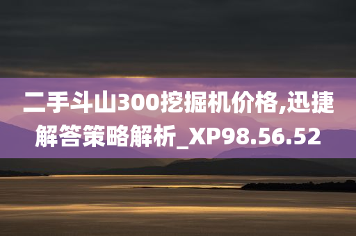 二手斗山300挖掘机价格,迅捷解答策略解析_XP98.56.52