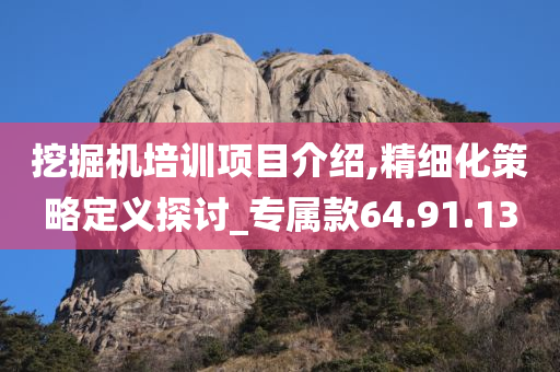 挖掘机培训项目介绍,精细化策略定义探讨_专属款64.91.13