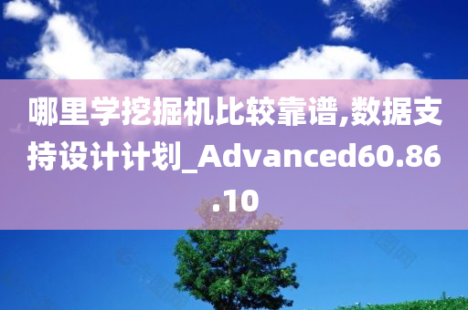 哪里学挖掘机比较靠谱,数据支持设计计划_Advanced60.86.10