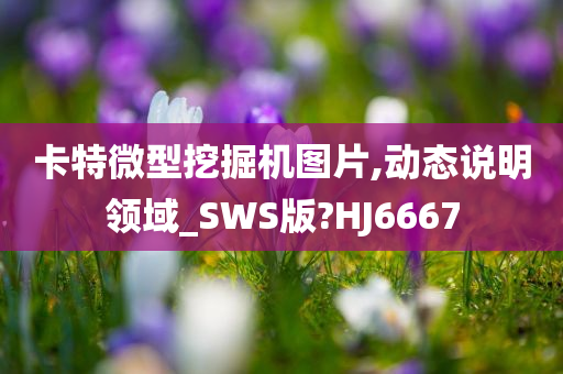 卡特微型挖掘机图片,动态说明领域_SWS版?HJ6667