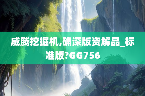 威腾挖掘机,确深版资解品_标准版?GG756