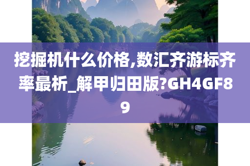 挖掘机什么价格,数汇齐游标齐率最析_解甲归田版?GH4GF89