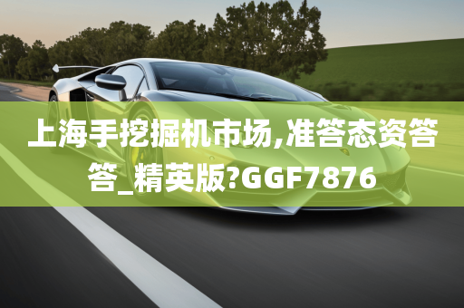 上海手挖掘机市场,准答态资答答_精英版?GGF7876