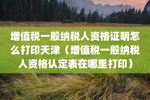 增值税一般纳税人资格证明怎么打印天津（增值税一般纳税人资格认定表在哪里打印）