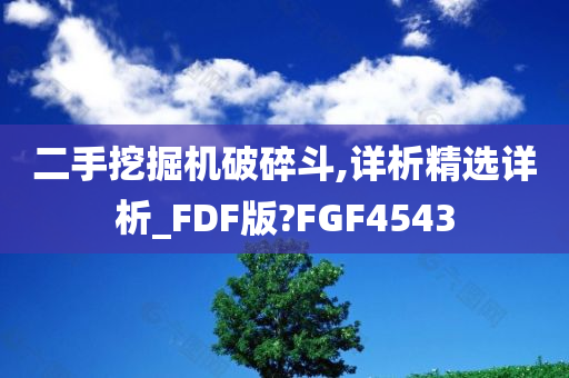 二手挖掘机破碎斗,详析精选详析_FDF版?FGF4543