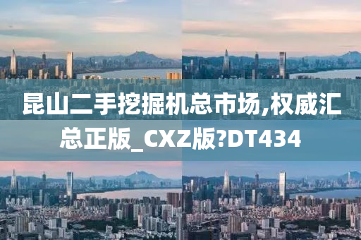 昆山二手挖掘机总市场,权威汇总正版_CXZ版?DT434