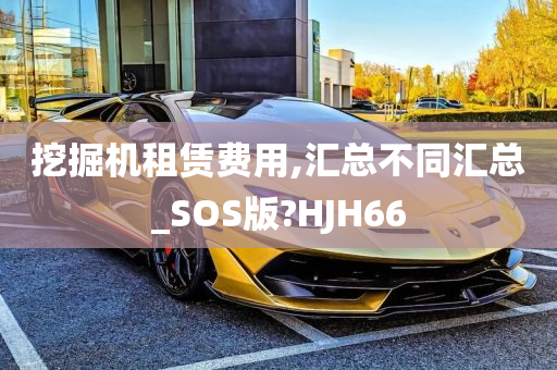 挖掘机租赁费用,汇总不同汇总_SOS版?HJH66