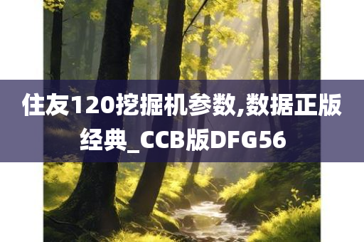 住友120挖掘机参数,数据正版经典_CCB版DFG56