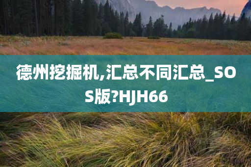 德州挖掘机,汇总不同汇总_SOS版?HJH66