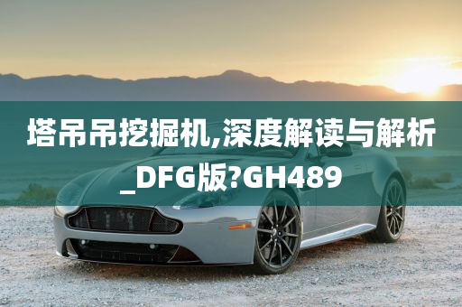 塔吊吊挖掘机,深度解读与解析_DFG版?GH489