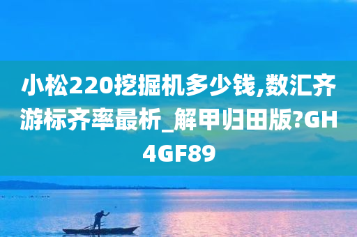 小松220挖掘机多少钱,数汇齐游标齐率最析_解甲归田版?GH4GF89