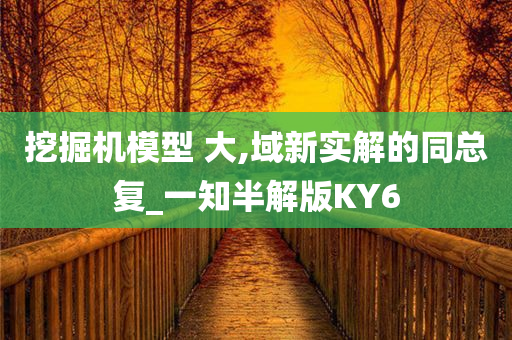 挖掘机模型 大,域新实解的同总复_一知半解版KY6