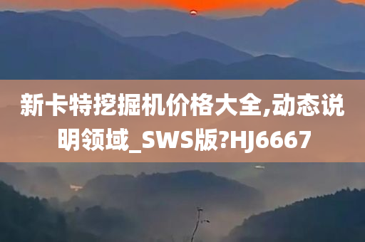 新卡特挖掘机价格大全,动态说明领域_SWS版?HJ6667