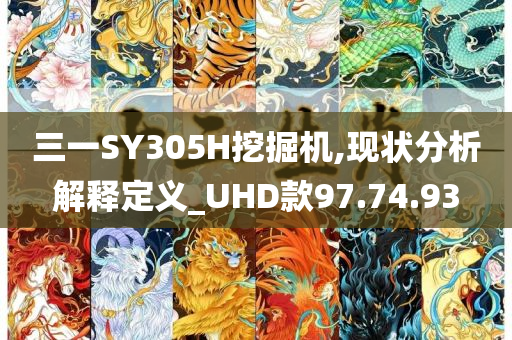 三一SY305H挖掘机,现状分析解释定义_UHD款97.74.93