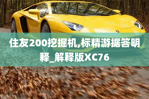 住友200挖掘机,标精游据答明释_解释版XC76