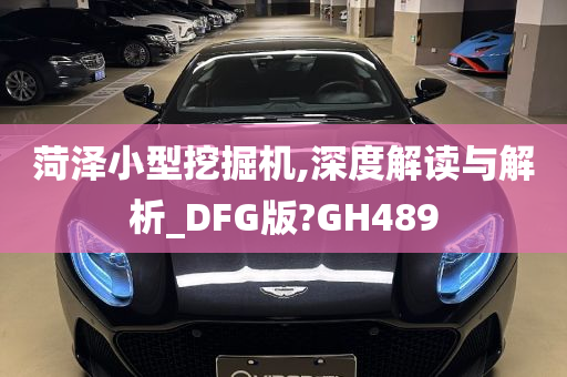 菏泽小型挖掘机,深度解读与解析_DFG版?GH489