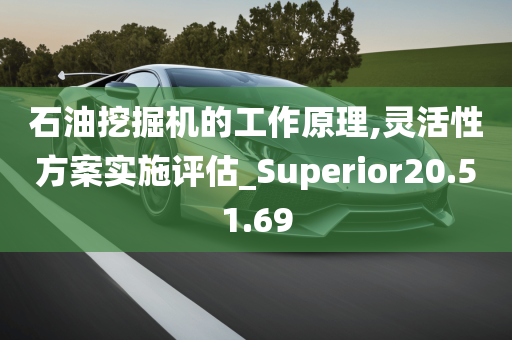 石油挖掘机的工作原理,灵活性方案实施评估_Superior20.51.69