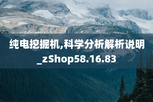 纯电挖掘机,科学分析解析说明_zShop58.16.83