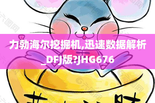 力勃海尔挖掘机,迅速数据解析_DFJ版?JHG676