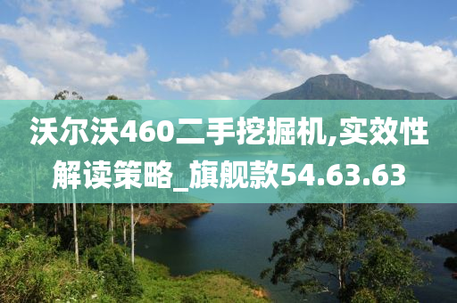 沃尔沃460二手挖掘机,实效性解读策略_旗舰款54.63.63