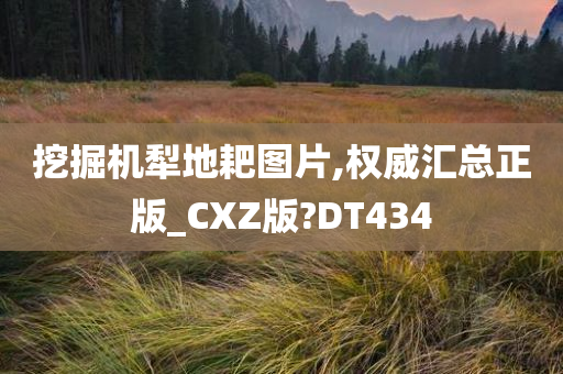 挖掘机犁地耙图片,权威汇总正版_CXZ版?DT434