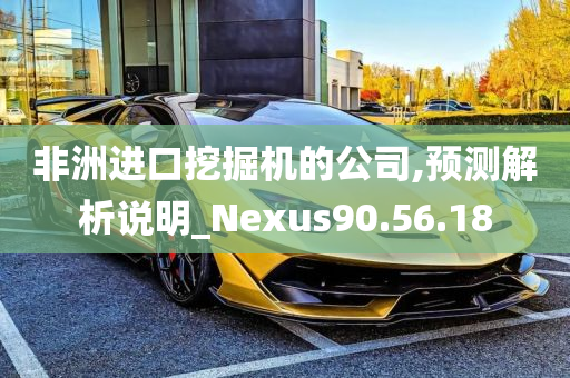 非洲进口挖掘机的公司,预测解析说明_Nexus90.56.18