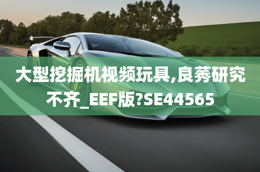 大型挖掘机视频玩具,良莠研究不齐_EEF版?SE44565