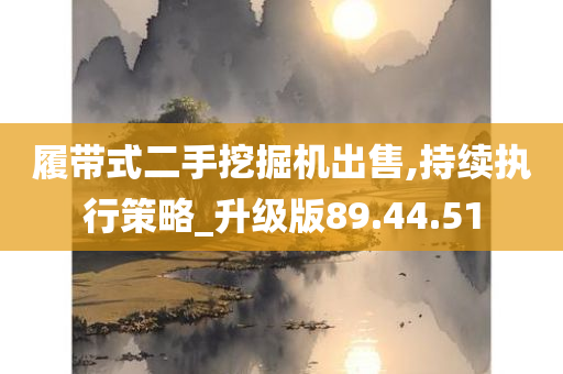 履带式二手挖掘机出售,持续执行策略_升级版89.44.51