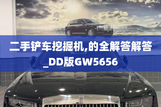 二手铲车挖掘机,的全解答解答_DD版GW5656