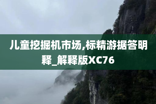 儿童挖掘机市场,标精游据答明释_解释版XC76