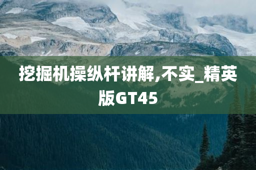 挖掘机操纵杆讲解,不实_精英版GT45