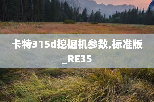 卡特315d挖掘机参数,标准版_RE35