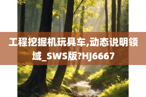 工程挖掘机玩具车,动态说明领域_SWS版?HJ6667