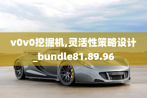 v0v0挖掘机,灵活性策略设计_bundle81.89.96