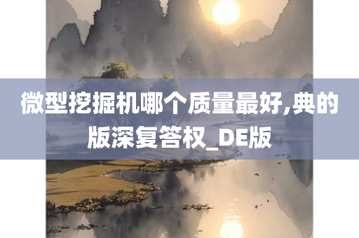 微型挖掘机哪个质量最好,典的版深复答权_DE版