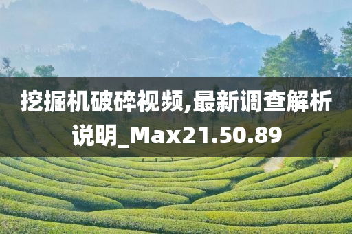 挖掘机破碎视频,最新调查解析说明_Max21.50.89