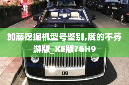 加藤挖掘机型号鉴别,度的不莠游版_XE版?GH9